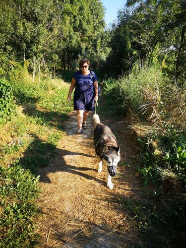 Schönster Garten 2024 - Marija aus Amstetten