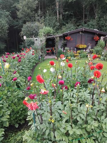 Schönster Garten 2024 - Walter aus Vöcklabruck