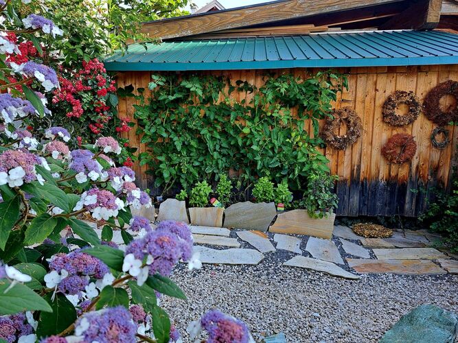 Schönster Garten 2024 - Astrid aus Ried