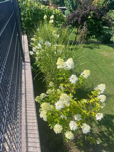 Schönster Garten 2024 - Gertrud aus Linz