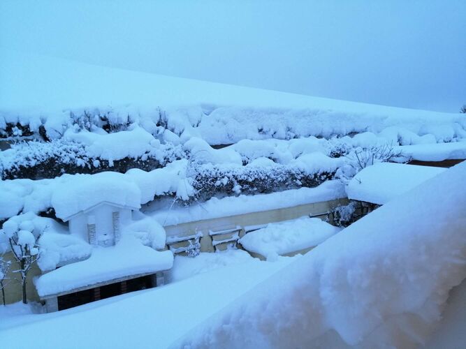 Schönster Garten 2024 - Günter aus Freistadt
