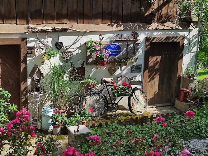 Schönster Garten 2024 - Ursula aus Steyr