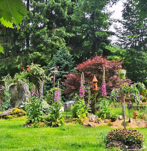 Schönster Garten 2024 - Renate aus Rohrbach