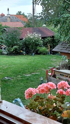 Schönster Garten 2024 - Eva aus Amstetten