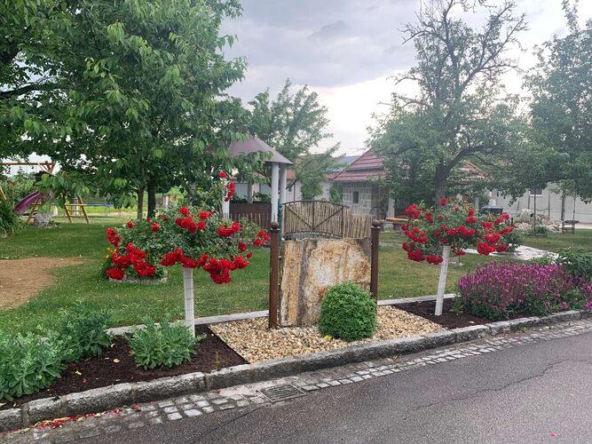 Schönster Garten 2024 - Alexandra aus Wels