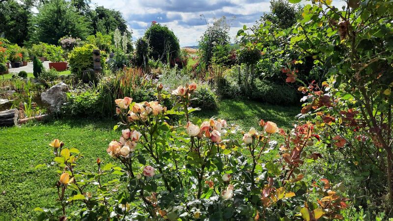 Schönster Garten 2024 - Gerti aus Grieskirchen
