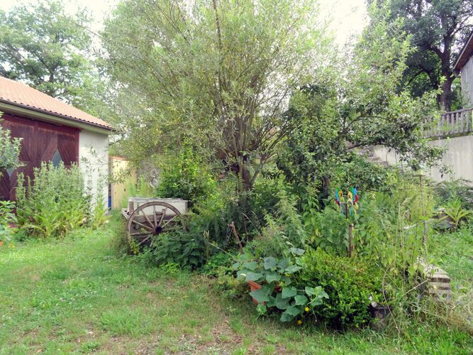 Schönster Garten 2024 - sibylle aus Amstetten