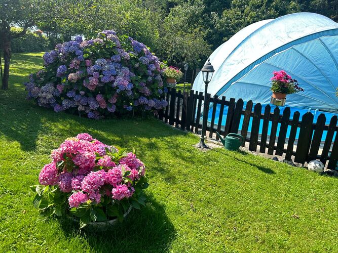 Schönster Garten 2024 - Anna aus Vöcklabruck