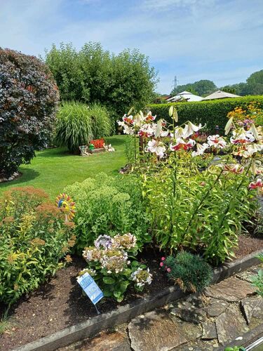 Schönster Garten 2024 - Eva aus Linz