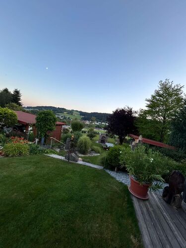 Schönster Garten 2024 - Philipp aus Rohrbach