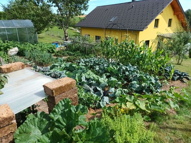 Schönster Garten 2024 - Katharina aus Rohrbach