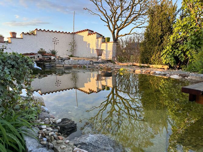 Schönster Garten 2024 - Florian aus Linz-Land