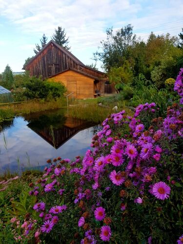 Schönster Garten 2024 - Margarete aus Grieskirchen