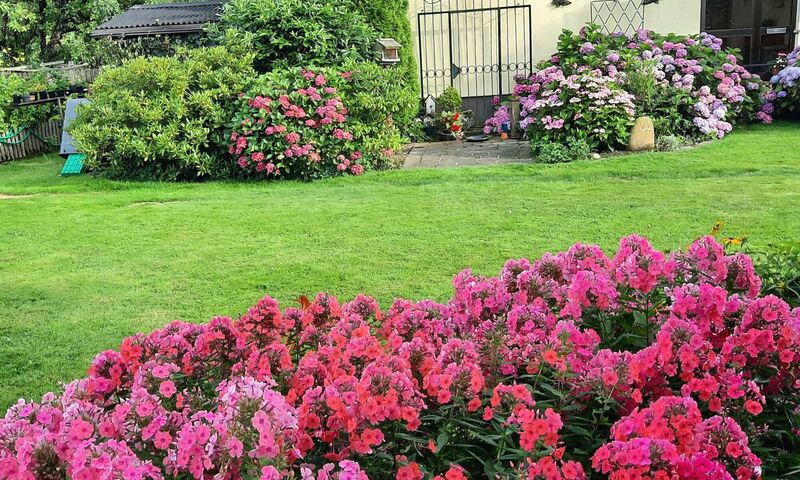 Schönster Garten 2024 - Rosemarie aus Ried