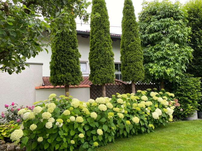 Schönster Garten 2024 - Doris aus Gmunden