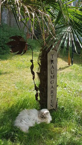 Schönster Garten 2024 - Gerlinde aus Vöcklabruck