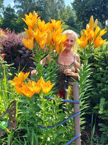 Schönster Garten 2024 - Gertraud aus Urfahr-Umgebung