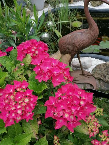 Schönster Garten 2024 - Resi aus Braunau