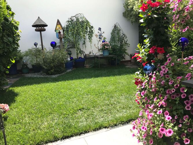 Schönster Garten 2024 - Elisabeth aus Wels