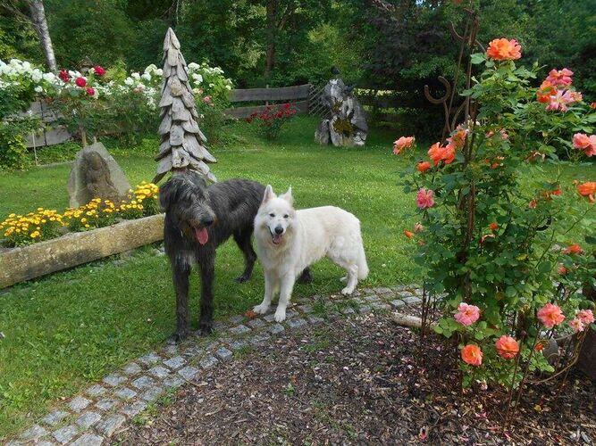 Schönster Garten 2024 - Helma aus Steyr