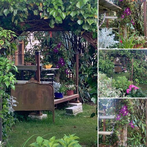 Schönster Garten 2024 - Hildegard aus Braunau