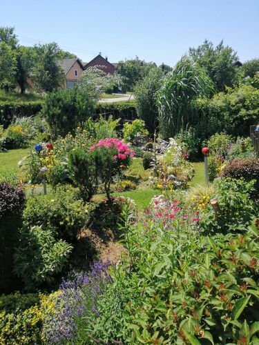 Schönster Garten 2024 - Maria aus Braunau