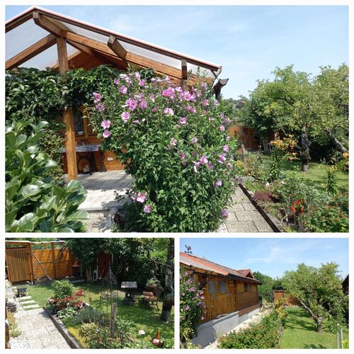 Schönster Garten 2024 - Sabine aus Steyr