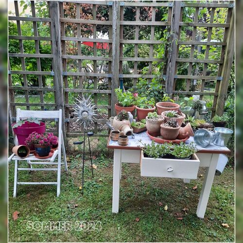 Schönster Garten 2024 - Gabriele aus Amstetten