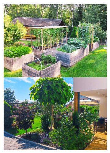 Schönster Garten 2024 - Andrea aus Urfahr-Umgebung