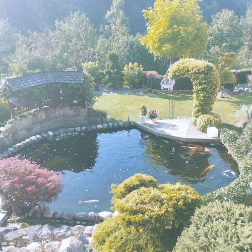 Schönster Garten 2024 - Elisabeth aus Freistadt