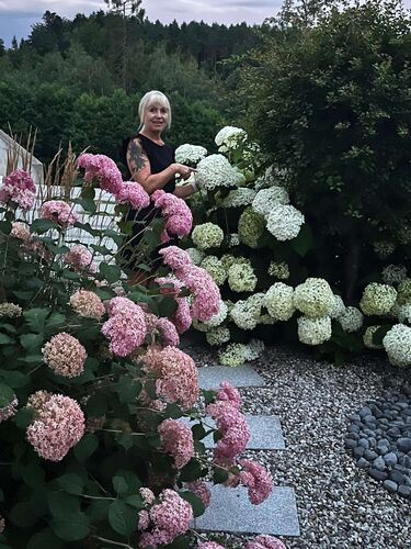 Schönster Garten 2024 - Karl aus Freistadt