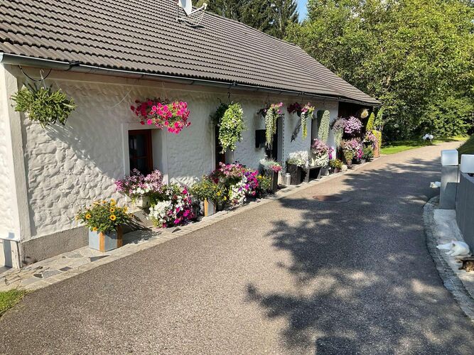 Schönster Garten 2024 - Klaus aus Freistadt