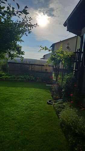 Schönster Garten 2024 - Christina aus Linz-Land