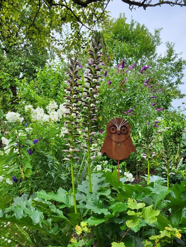 Schönster Garten 2024 - Robert aus Vöcklabruck