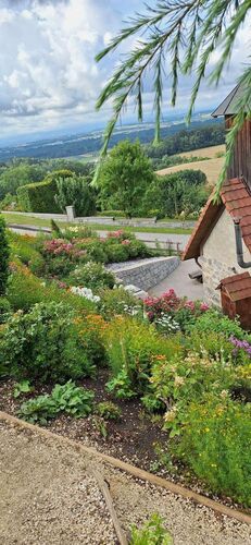 Schönster Garten 2024 - Elfriede aus Perg