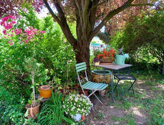 Schönster Garten 2024 - Petra aus Wels