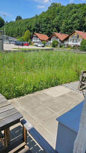 Schönster Garten 2024 - Kamillo aus Vöcklabruck