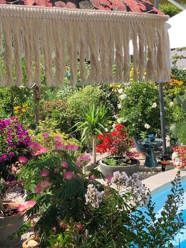 Schönster Garten 2024 - Svitlana aus Linz-Land