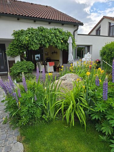 Schönstes Gartenfoto 2025 - Manuela aus Eferding