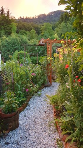 Schönstes Gartenfoto 2025 - Ursula aus Kirchdorf