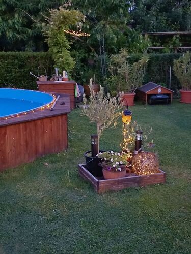 Schönstes Gartenfoto 2025 - Alois aus Linz