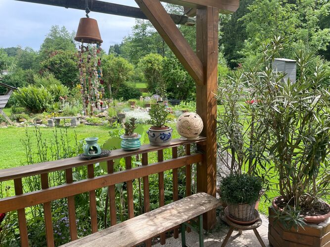 Schönstes Gartenfoto 2025 - Michael aus Ried