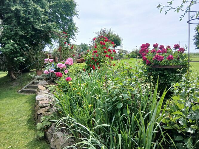 Schönstes Gartenfoto 2025 - Franz aus Schärding