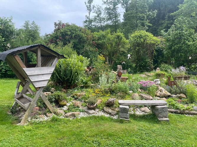 Schönstes Gartenfoto 2025 - Michael aus Ried