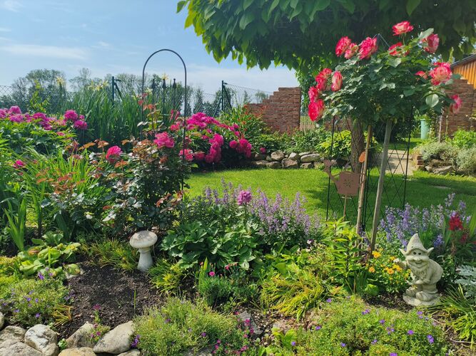 Schönstes Gartenfoto 2025 - Christine aus Linz-Land