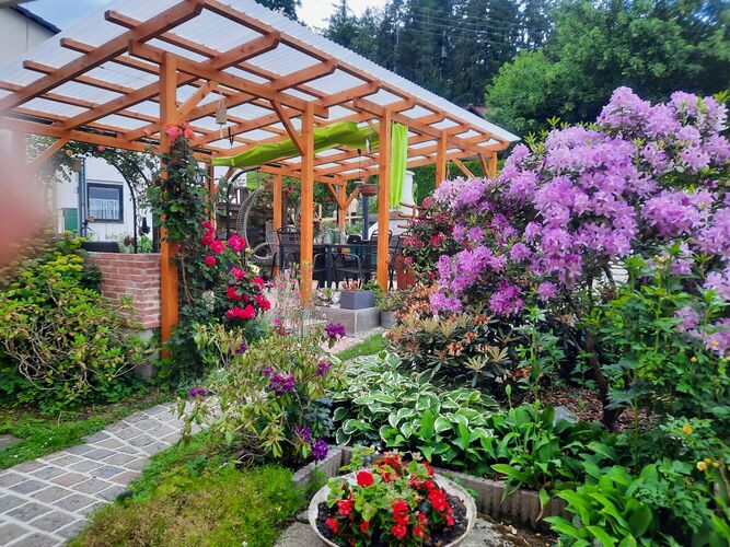 Schönstes Gartenfoto 2025 - Gudrun aus Urfahr-Umgebung