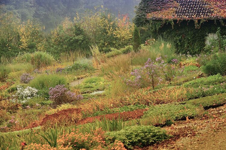 Schönstes Gartenfoto 2025 - Hans aus Schärding