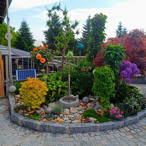 Schönstes Gartenfoto 2025 - Paula aus Gmunden