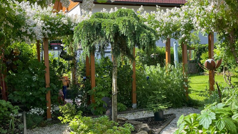 Schönstes Gartenfoto 2025 - Richard aus Kirchdorf