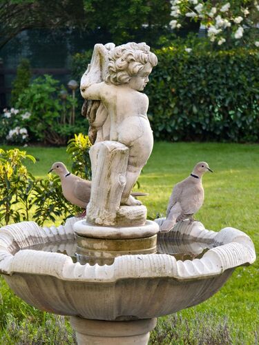 Schönstes Gartenfoto 2025 - Bettina aus Braunau